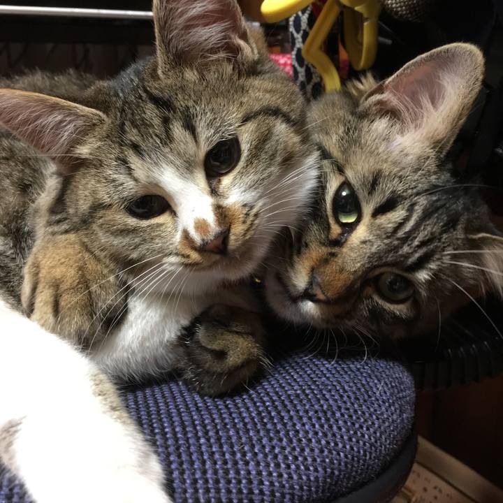 Ea370802 601d 4dee ac09 2e800ce15315 1515862254686