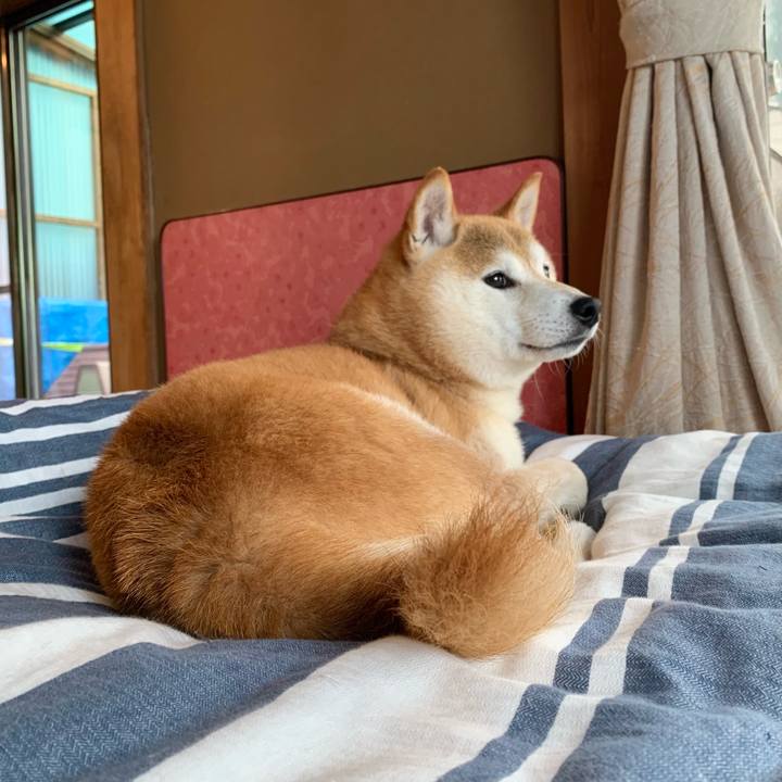 Ea371813 8f21 462d afc0 e44e9aa045fa 1657793921750