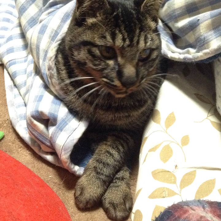 Ea37871f 960b 4912 af3d 563db208d12c 1547299296809