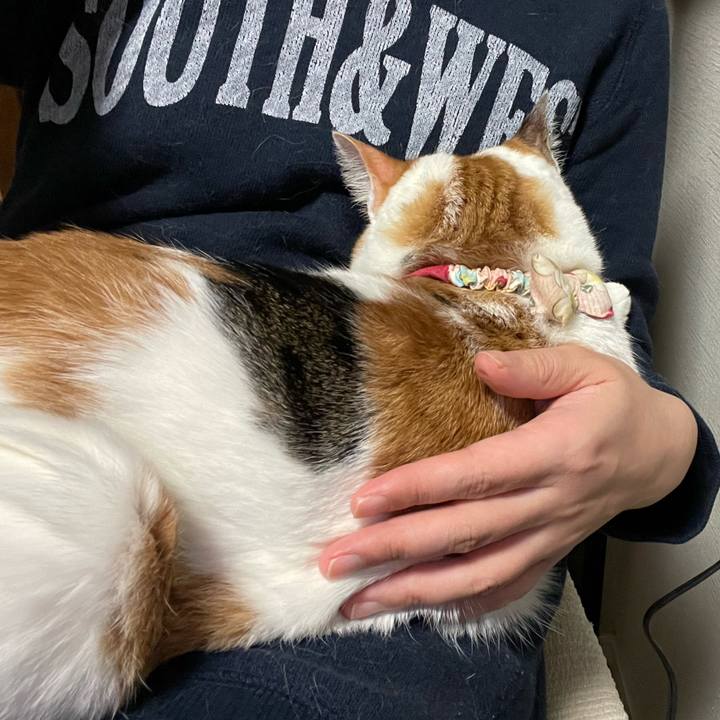 Ea37b0dc ced9 44a7 b07c 56648003c1ed 1644415648424