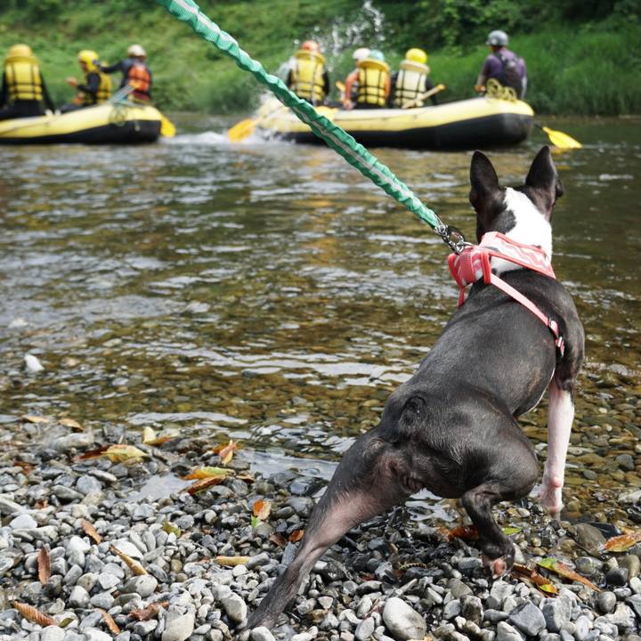 Ea37b1ea 2898 4041 8b44 91cd1a7d24cb 1530500939069