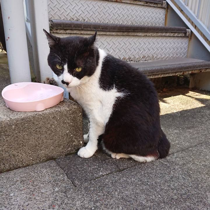 Ea37d40a 1802 4f0e 9431 064180a8d353 1592294111092