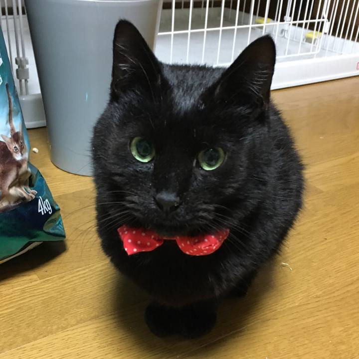 Ea37f4ff 676d 4182 af8f 7f85d90ad2cc 1548671420195