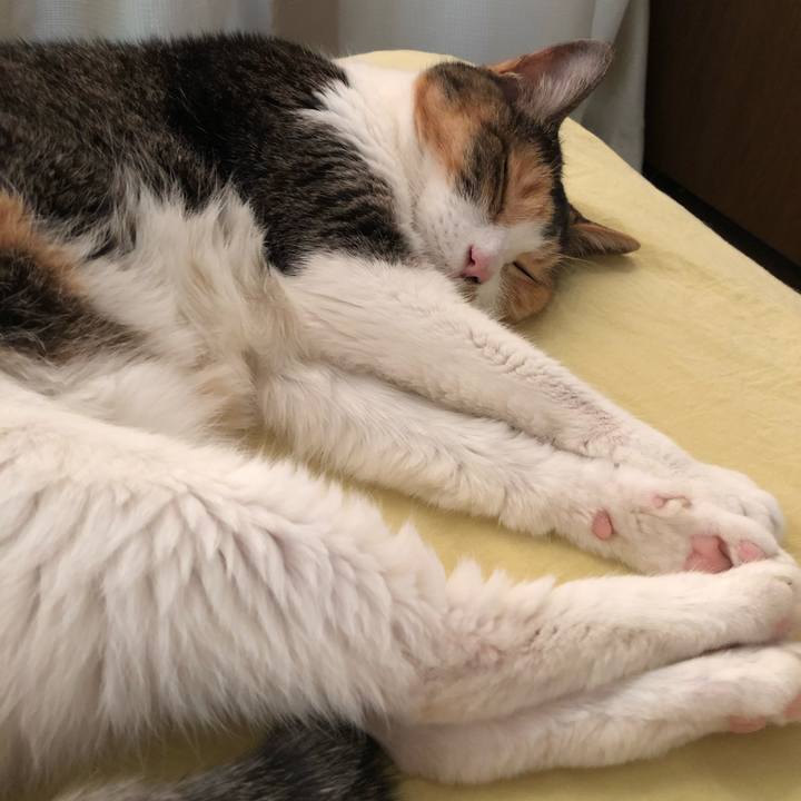 Ea37fa94 5b40 48a0 b663 fed4189d2a9e 1536152014954