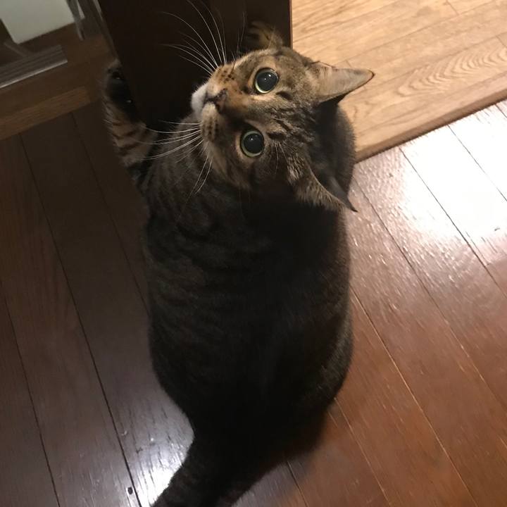 Ea38053a 33be 4b98 8c56 b4bcf08df977 1669896528927