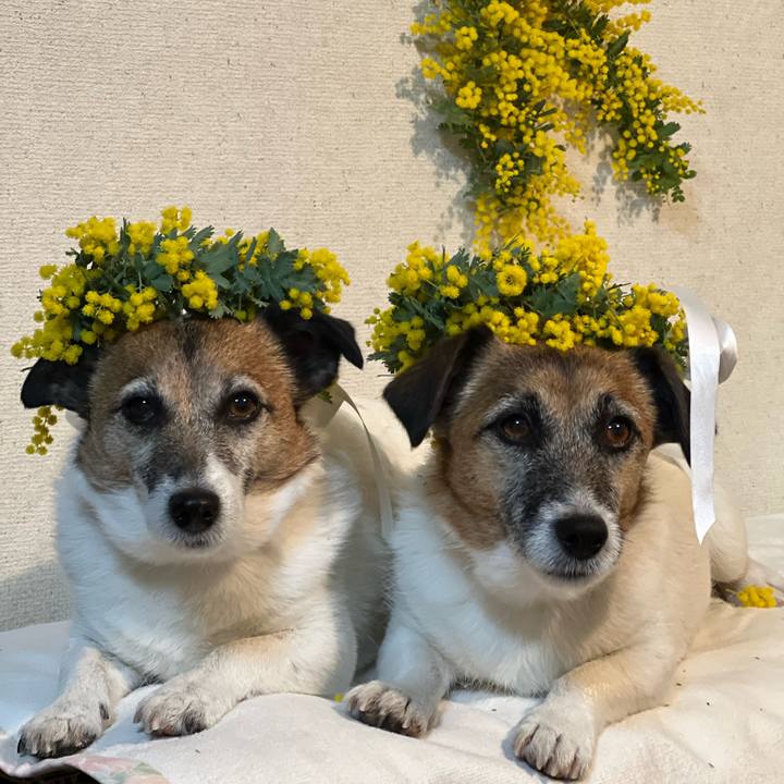 Ea3843d7 35ff 493e a232 899a765d06cb 1742029310708