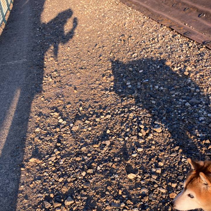 Ea385328 136a 4af6 abe9 60b310a69278 1766994401176