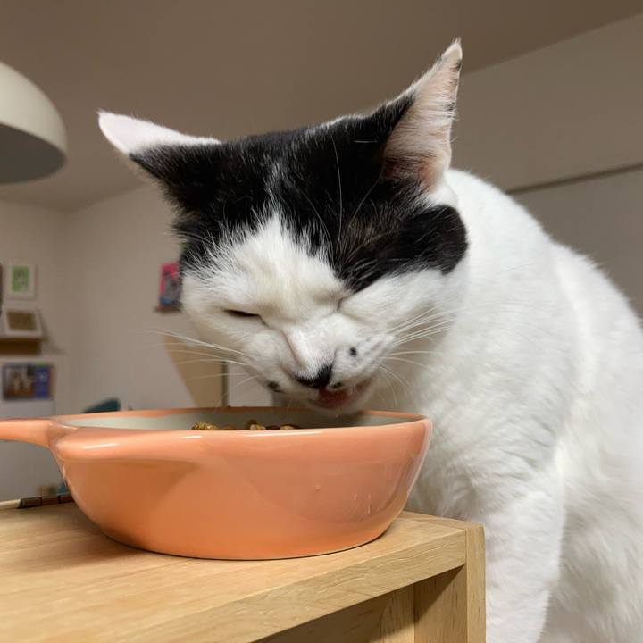 Ea38b1b1 283e 46da bacc 9048b66714fe 1764534102933