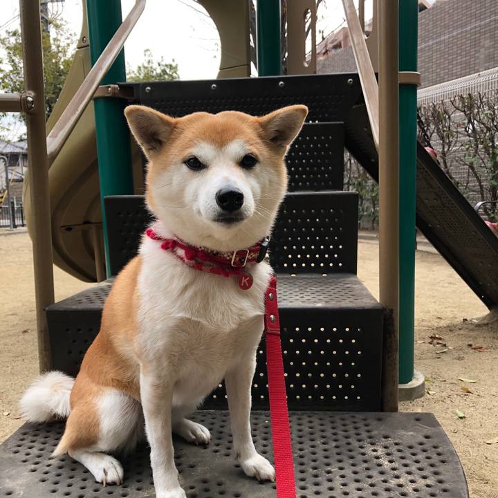 Ea38eff1 a3c3 4404 a834 08c95a318127 1547515961867