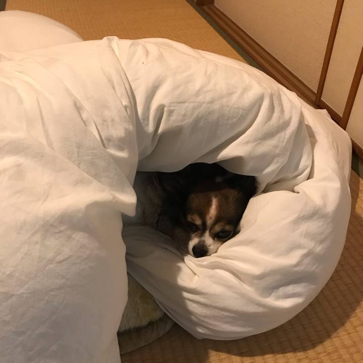 Ea38f899 83d1 4b71 9b5c cd021306c84a 1616680360390