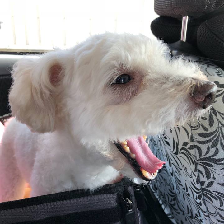 Ea392886 6bde 4192 bd64 33a03e102623 1533167942294