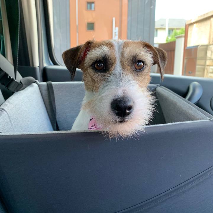 Ea394faa 7808 4380 9929 6b8e5e681632 1596440254275