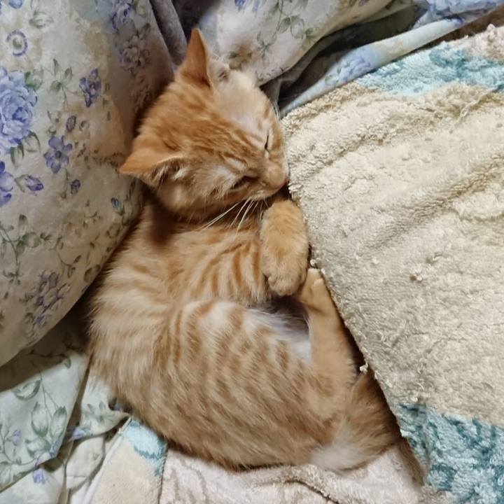 Ea396683 ce66 46fb 98f0 8070999f7981 1631880634801