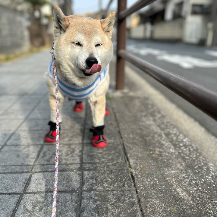 Ea39750a ed71 42a8 82a5 5d81281179f1 1743064311657