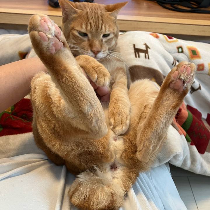 Ea398db8 deea 4c5f ad21 551db2291674 1763261014832