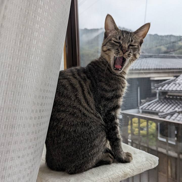 Ea399c03 7fb7 4c67 9e10 07e81a1ad761 1711426264538