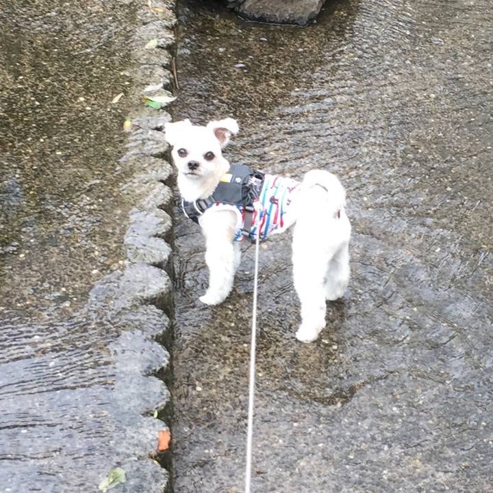 Ea39b662 397b 42ab 9d76 b677a417899a 1561265176363