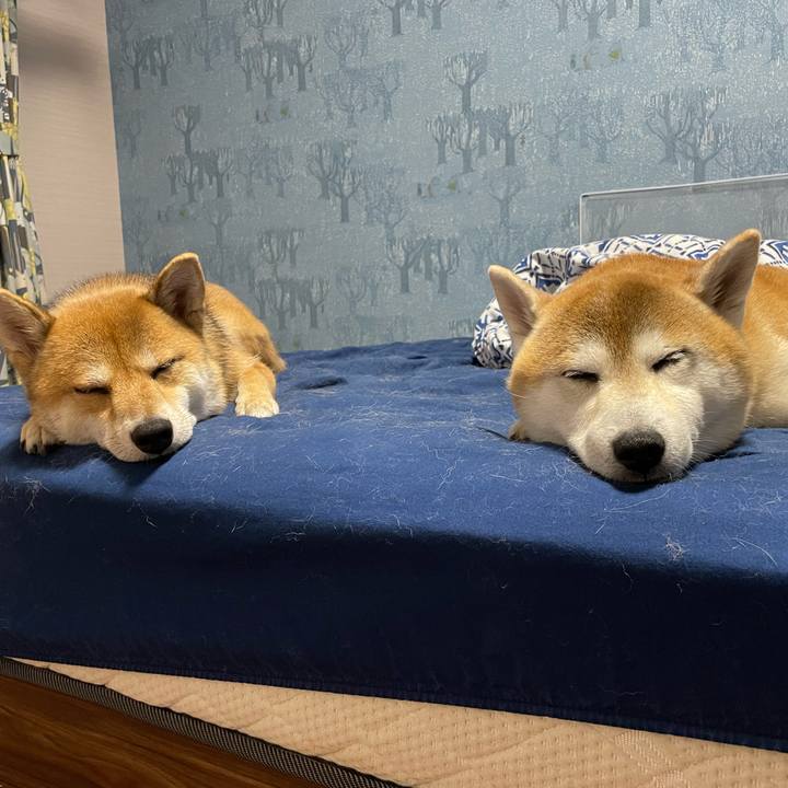 Ea39d9a0 24ca 4e43 9dac 8d0560b716b1 1699450641120