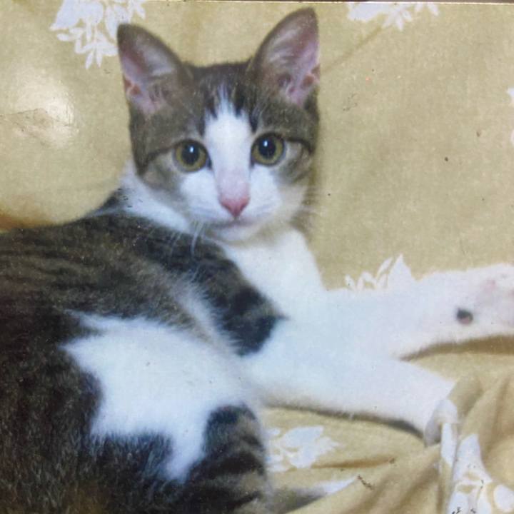 Ea39e66b 5340 4c80 acc5 07810d9f2f74 1631791486368