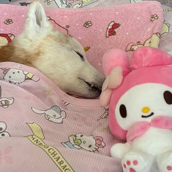 Ea39f679 606c 41c8 9803 de7d1f05ba15 1749287480822