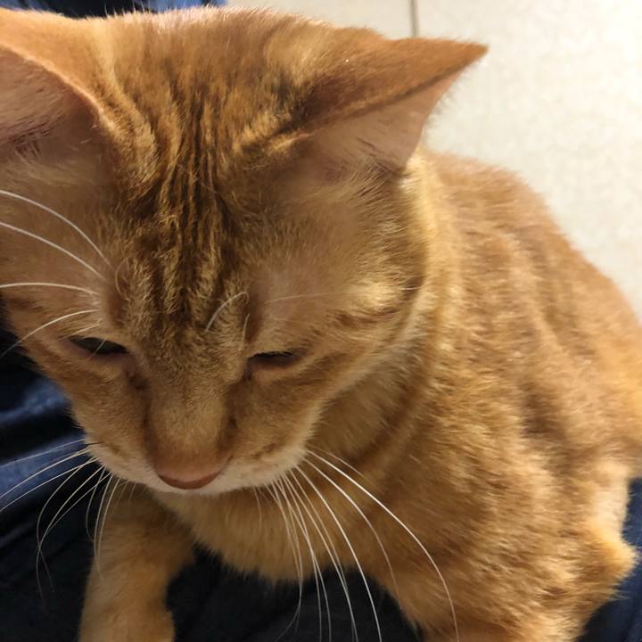 Ea3a1452 6ec1 4c5d bddc ec716c4f4309 1634471641436