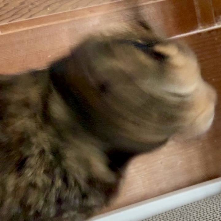 Ea3a1640 ff3b 4ad6 95d5 6028d2293047 1769172977000