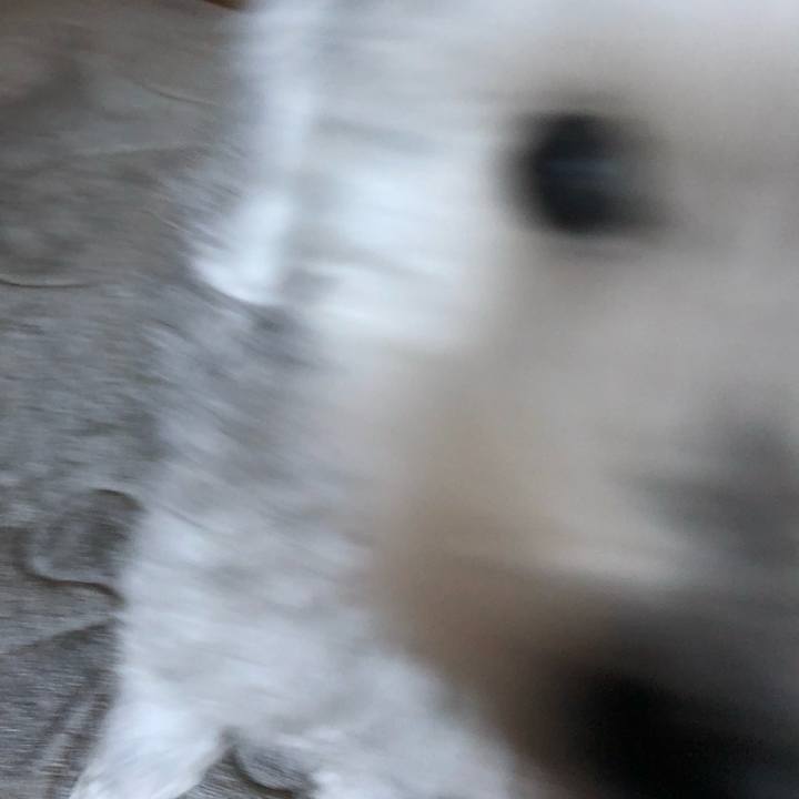 Ea3a5153 a917 49fb 9c36 0ae996518a73 1644975692593