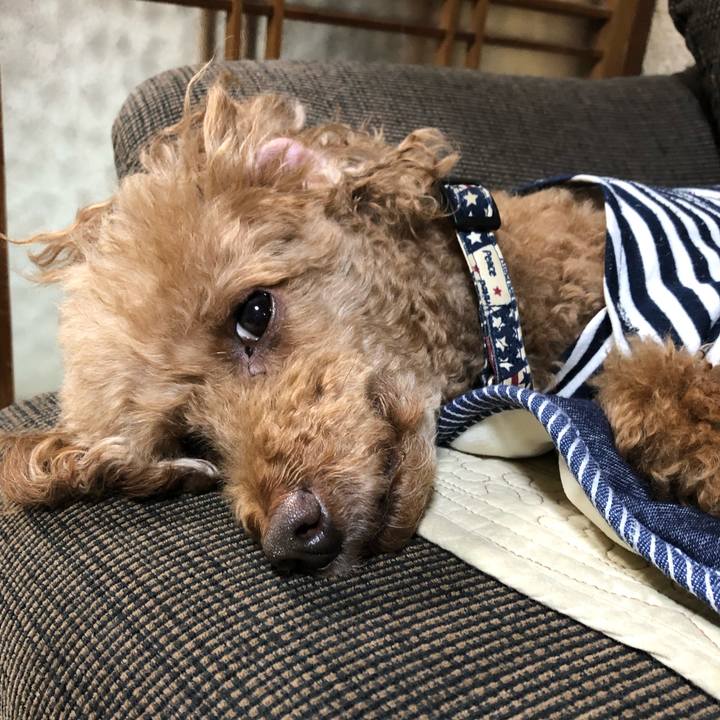 Ea3a5c32 43a0 4263 8964 2ffb4a59f378 1621318462098