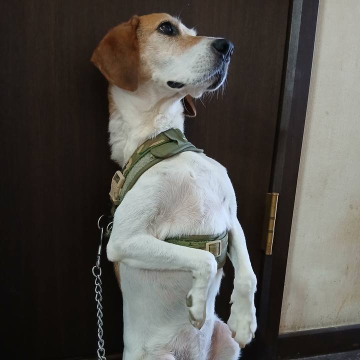 Ea3a803f ebdf 4424 8968 c21074ab9478 1752925841647