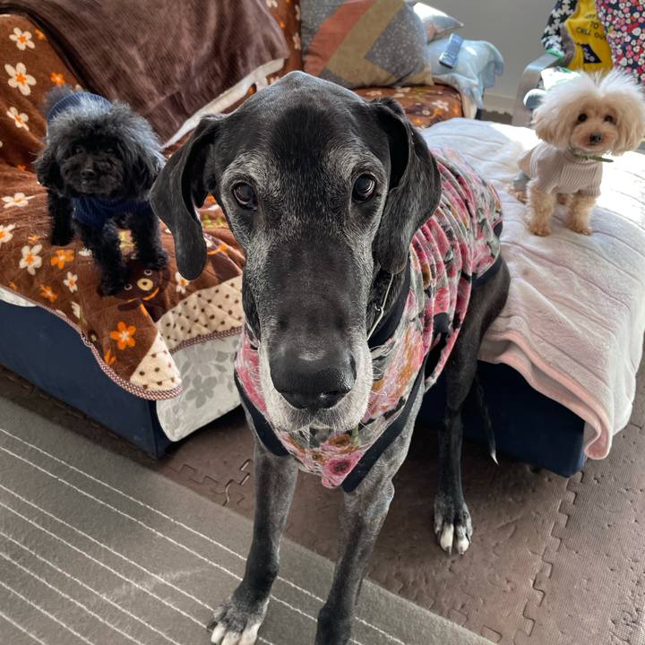 Ea3aa344 964e 4478 be01 4f8edf6f06ea 1616539046454