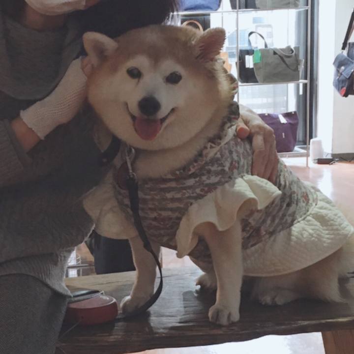 Ea3acf9e 517c 4b7d 8fc5 a18db4449fae 1604140616476