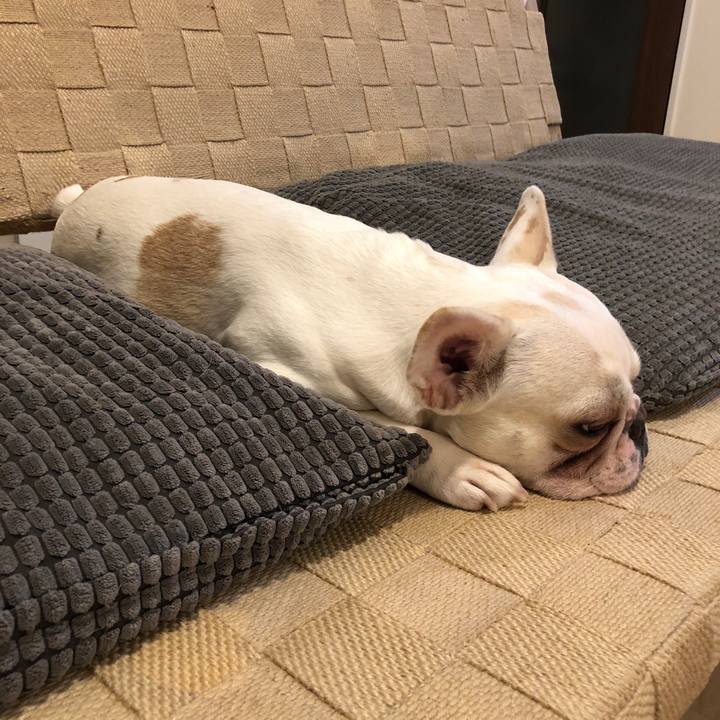 Ea3b3d02 ee00 49e9 9d1a 7a0ad9a08ec2 1533212175942