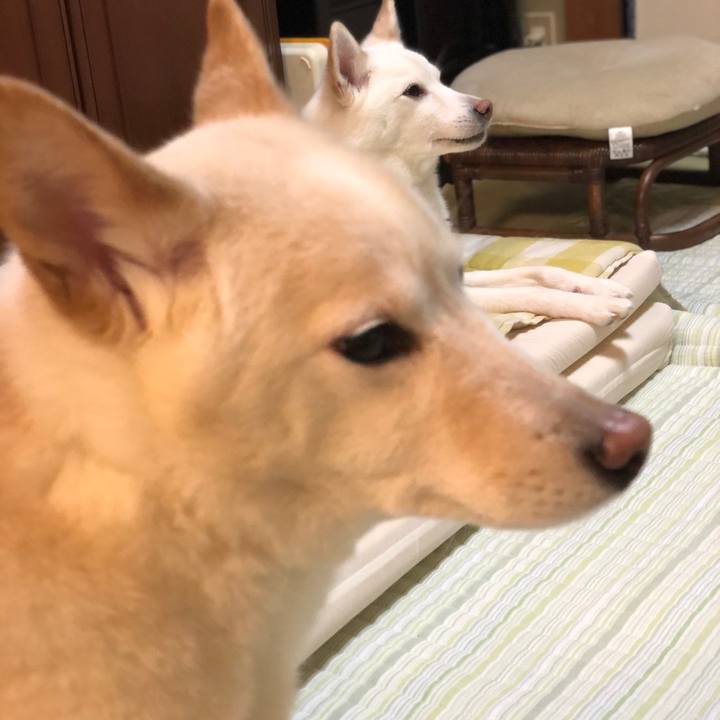 Ea3b4fbc 956b 448f 9454 ab559a7386d5 1615369698874