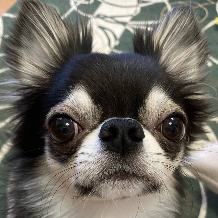 Ea3b598d 4c2b 421d bd1f aa87720b1a2b 1644536752007