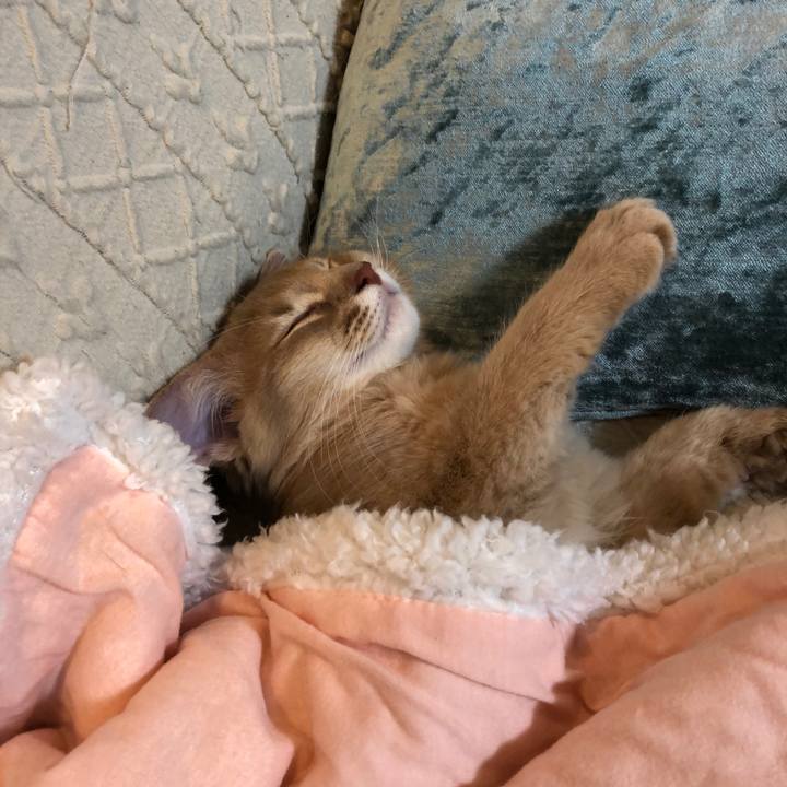 Ea3b6a9c 78e0 4b93 ac6b 6801a06d4313 1571157835857