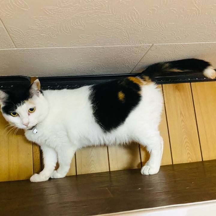 Ea3b6aeb 4de9 4b4a 91f8 694b40be3824 1652907517844