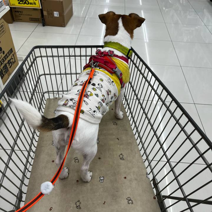 Ea3b6ed6 05c8 47be 9e1f 298ddb23de73 1728653710273