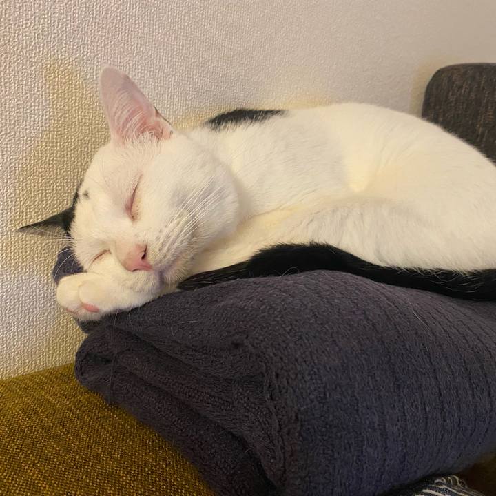 Ea3bb49c 0563 4105 b559 3cbda1e878e1 1692137462165