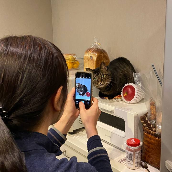 Ea3bb691 af81 4c2c b9ad 5da45cbba244 1763563684185