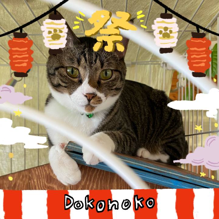 Ea3bc431 0967 4d53 bf1c 683ec0bbdc5f 1723287543438