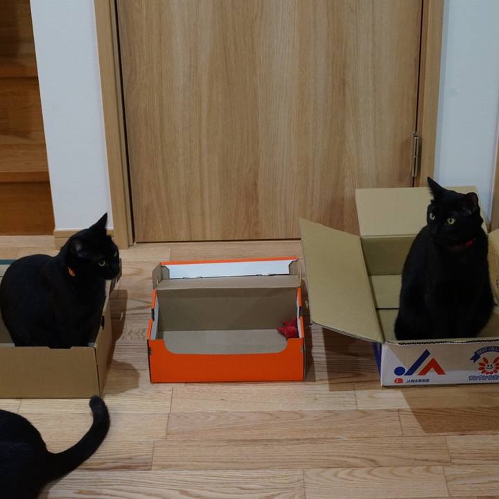 Ea3bf1bd 8266 4444 9d1d 5e849682869f 1521325668502