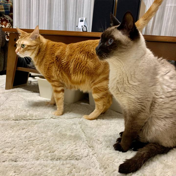 Ea3bf266 feac 4834 b379 ddb7173489ba 1613514620293