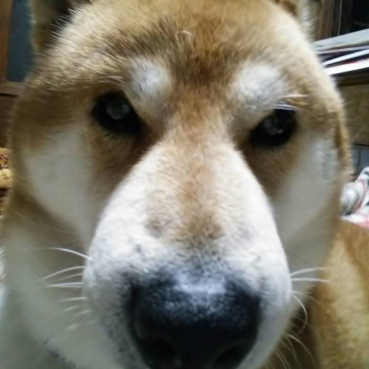 Ea3bf4fe dc20 419f 9ebc efd66ac732cc 1577522124020