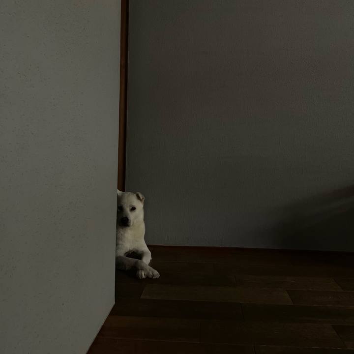 Ea3c017a 7b4a 4cdf 8fac 31664beee422 1756697601584