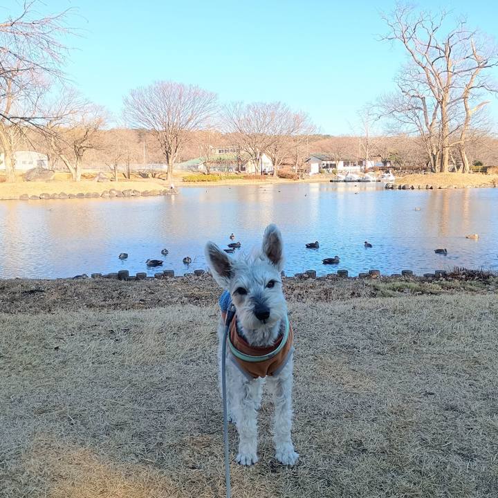 Ea3c1e18 9fd5 4979 94db af4c734fc1a9 1766151047824