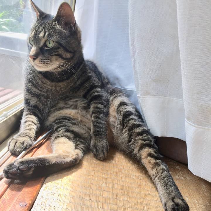 Ea3c27a4 13a9 4ae8 911f 2a4689c9e35f 1527215210367