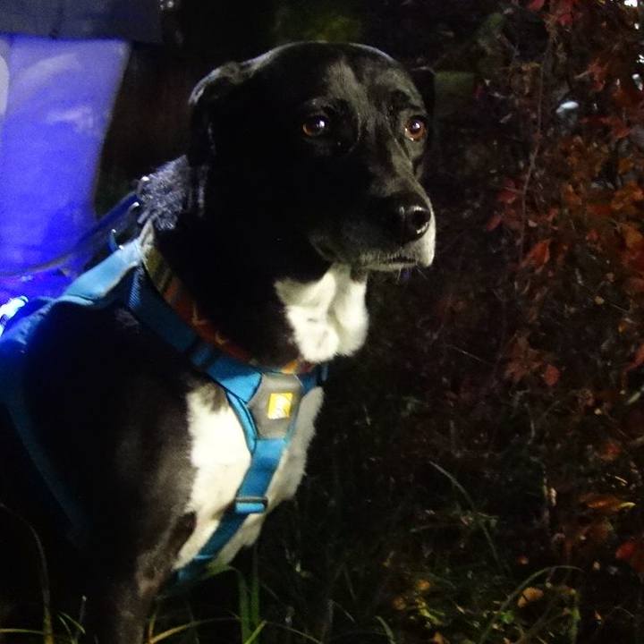 Ea3c3ba1 6261 493b 960b fb6d95822e22 1702811665155