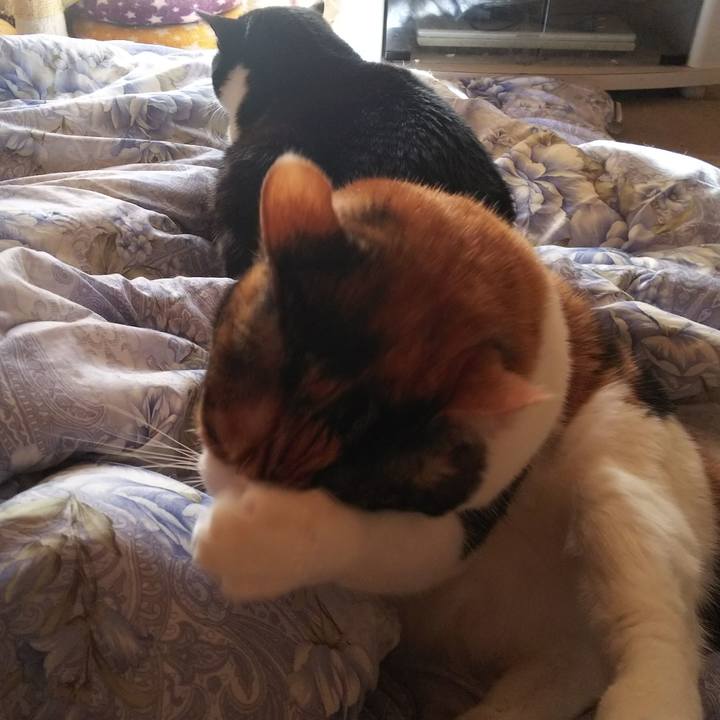 Ea3c3f23 d0ef 4e04 bc77 9e6ea5249a4d 1546392110996