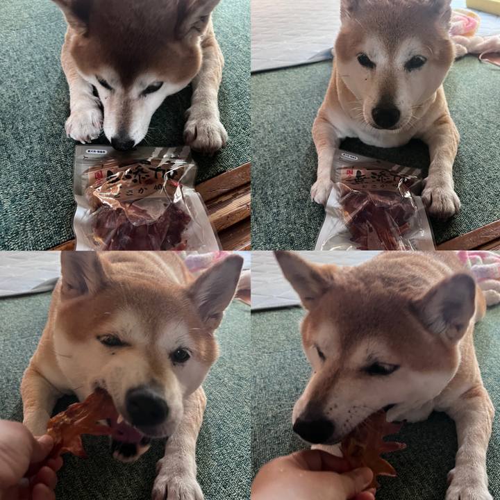 Ea3c518a 0241 4790 8281 68fcf1c96435 1722853848236