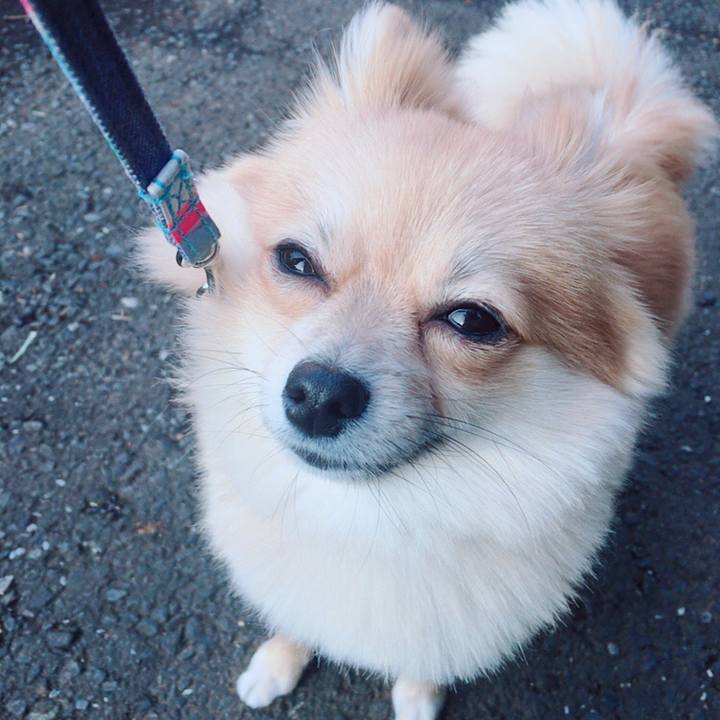 Ea3c9792 13ea 47ae 8325 75eeaeb9793f 1519907777145